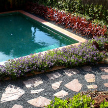 front yard