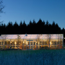 Greenhouse - time to grow roses!