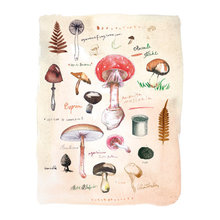 Molly Roux-Cloutier's Ideas