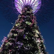 Foto von Lynn Yuan