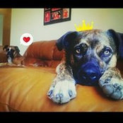 Foto di Amy Amy