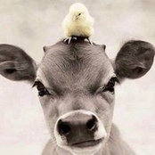 Photo de Matilda Mjd