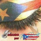 Sandra Cotto's photo