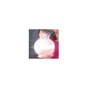 C's photo