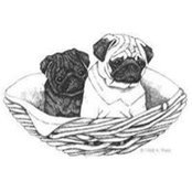 Marie-Pierre Chabreyroux's photo