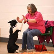 Sharon Clarke's photo
