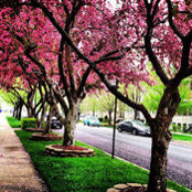 LILU GAO's photo