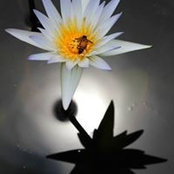 Kek Wu's photo