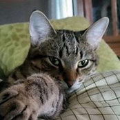 Rita Kamback's photo