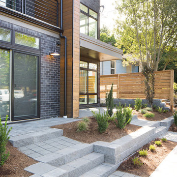 Fremont Three