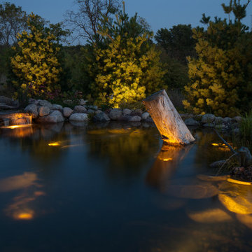 Back Yard Oasis