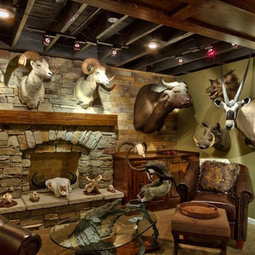 Safari to Mountains Overland Park Basement Remodel