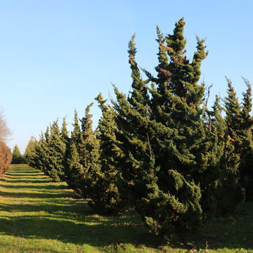 Southampton Farm