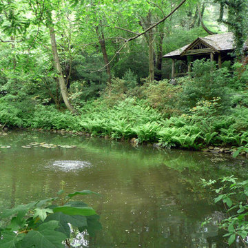 Woodland