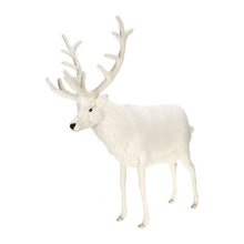 Christmas Decor