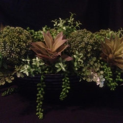 New Looks - Products