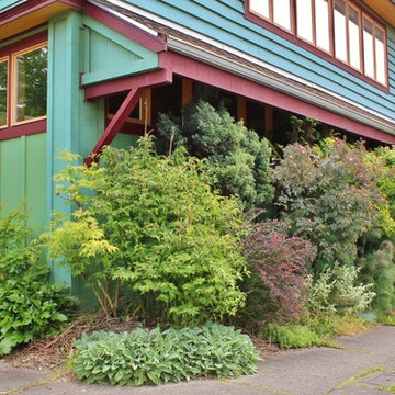 Seattle Organic Garden