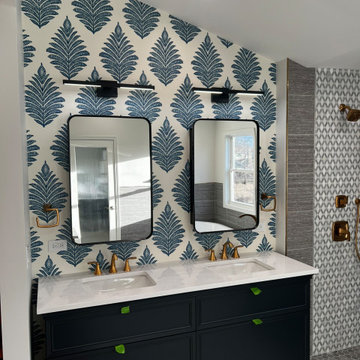 Carol Stream Master Bathroom