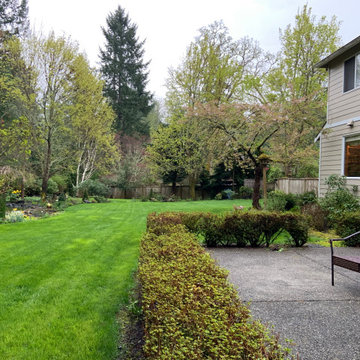 Woodland Meets Backyard