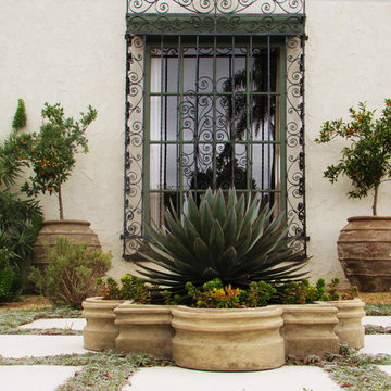 Vivacious Mediterranean Front Yard