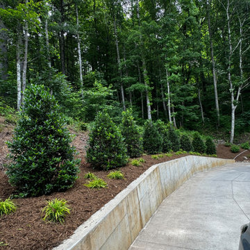 Asheville - Challenging Terrain Project