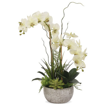 Cream/Green Orchids Flower Arrangement, Round Pot