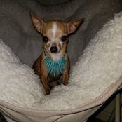 Adrian Ramos Mendez's photo