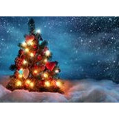 Xingjian Ling's photo