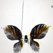 Maske Lustige's photo