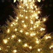 Joanne Byrd's photo