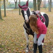 Foto von Kaitlyn Abraham