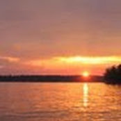 anne bailey's photo