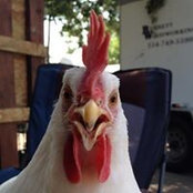 Michael Bennett's photo