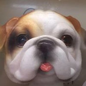Foto de Ryder Chen
