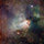 suzanne_bettis