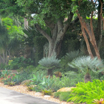 Tropical landscape