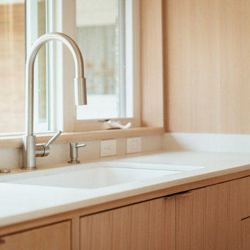 Begun/Weissman Remodel