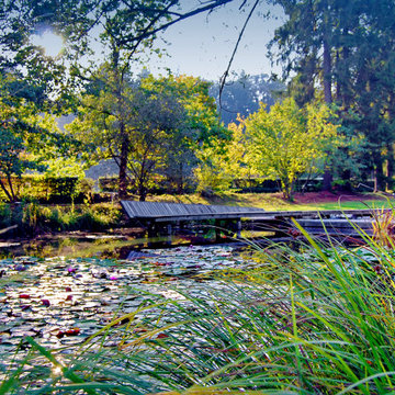 ON THE EDGE OF THE FOREST