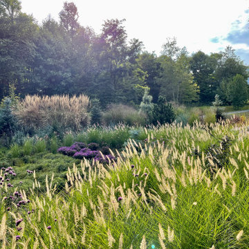 Fall view:  late afternoon backlighting