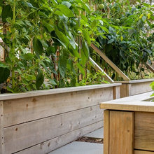 Vegetable / Herb Garden Ideas