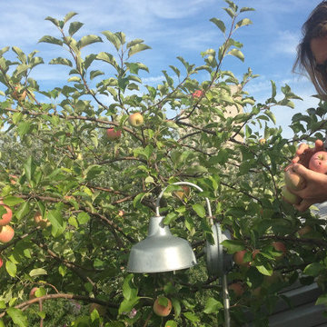 Boerum Hill - Rooftop Garden