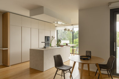 Large trendy galley kitchen photo in Other with an integrated sink and an island