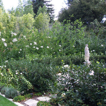 Garden Elements - Flowers, Shrubs & Statue