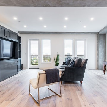 Total High Rise Condominium Penthouse Remodel