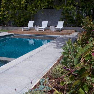 Pool deck with California plants and Costa Rica purple Butterfly vine.