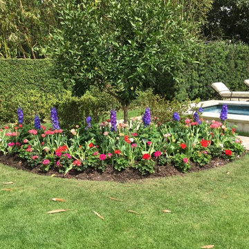 Gardens & Garden Paths