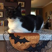 Kelli Nommay's photo