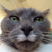 Rebeccah Rogers's photo