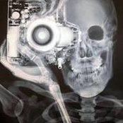 Foto von Tina McCool