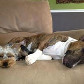 Jimdeb Mowbray's photo